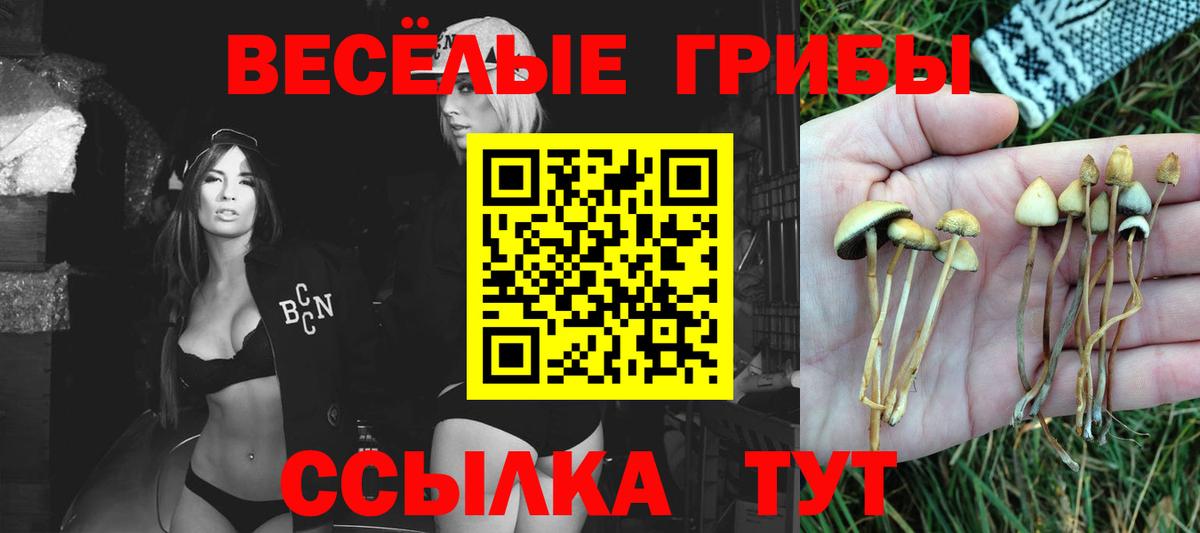 Псилоцибиновые грибы Magic Shrooms  Вход с VPN  Улан-Удэ  Псилоцибиновые грибы прущие грибы 